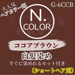 エヌドット　白髪染めセット　ココアブラウン　G-6CCB（落ち着いた明るさ）