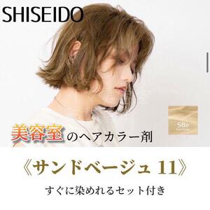 最安値！資生堂　ヘアカラーセット（ショート・メンズヘア）SBe11（少し明るい）