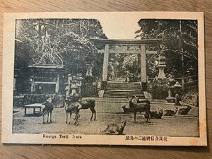 PP-8780 ■送料無料■ 奈良県 大和 奈良春日神社二の鳥居 鹿 灯籠 神社 寺 宗教 明治 風景 景色 絵葉書 エンタイア 写真 古写真/くNAら