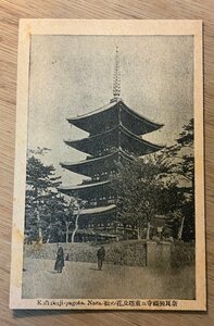 PP-8781 ■送料無料■ 奈良県 大和 興福寺五重塔および花の松 人 神社 寺 宗教 明治 風景 景色 絵葉書 エンタイア 写真 古写真/くNAら