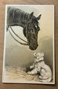 PP-8519 ■送料無料■ 馬 犬 動物 家畜 絵 絵画 美術品 イラスト アート 繪 明治 レトロ 絵葉書 エンタイア 写真 古写真/くNAら