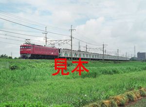 鉄道写真、645ネガデータ、162019690001、EF81-134＋203系マト66編成配給、JR武蔵野線、東川口〜東浦和、2011.05.24、（4377×3205）