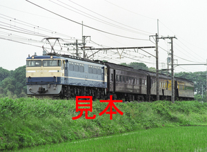 鉄道写真、645ネガデータ、162228470002、EF65-501＋旧客（回送）、JR東北本線、蓮田〜東大宮、2011.06.01、（4437×3249）