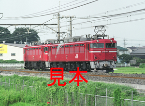 鉄道写真、645ネガデータ、162860300012、EF81-81＋ED75-758（配給輸送）、JR東北本線、蓮田〜東大宮、2011.08.18、（3940×2885）