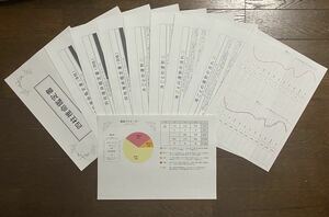 占い鑑定【鳥海流四柱推命鑑定書10枚セット】鳥海伯萃 オーダーメイド占いの帝王願望実現金運仕事運恋愛運結婚運運勢運気才能素質自己分析