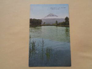 戦前絵葉書　象徴の富士　古歌に名高い田子の浦の絶美の景趣
