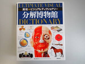 V3CΦ【分解博物館】英和 ビジュアルディクショナリー DICTIONARY 1996年 初版本？ 事典 断面図 自然界 物理 科学 宇宙 植物 人体 動物