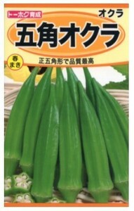 オクラ 五角オクラ 種子 野菜のたね 家庭園芸