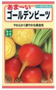 ビーツ ゴールデンビーツ 種子 野菜のたね 家庭菜園