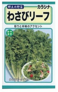 わさびリーフ わさび菜 からし菜 種子 野菜のたね 家庭菜園