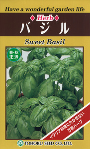  herb basil. kind sweet basil seeds herb. .. planter flower . potted plant oriented family gardening 