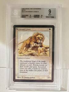 ●MTG● β ベータ サバンナ・ライオン(英語 BGS 9 MINT)