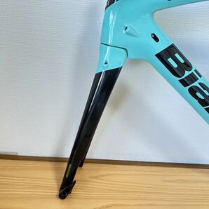 Bianchi Oltre XR3 Disc ビアンキ オルトレ フレームセット 53サイズ 2022の画像9