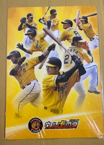 阪神タイガース　下敷き