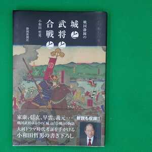 【古本雅】,戦国静岡の城と武将と合戦と,小和田哲男著,静岡新聞社,徳川家康,大河ドラマ