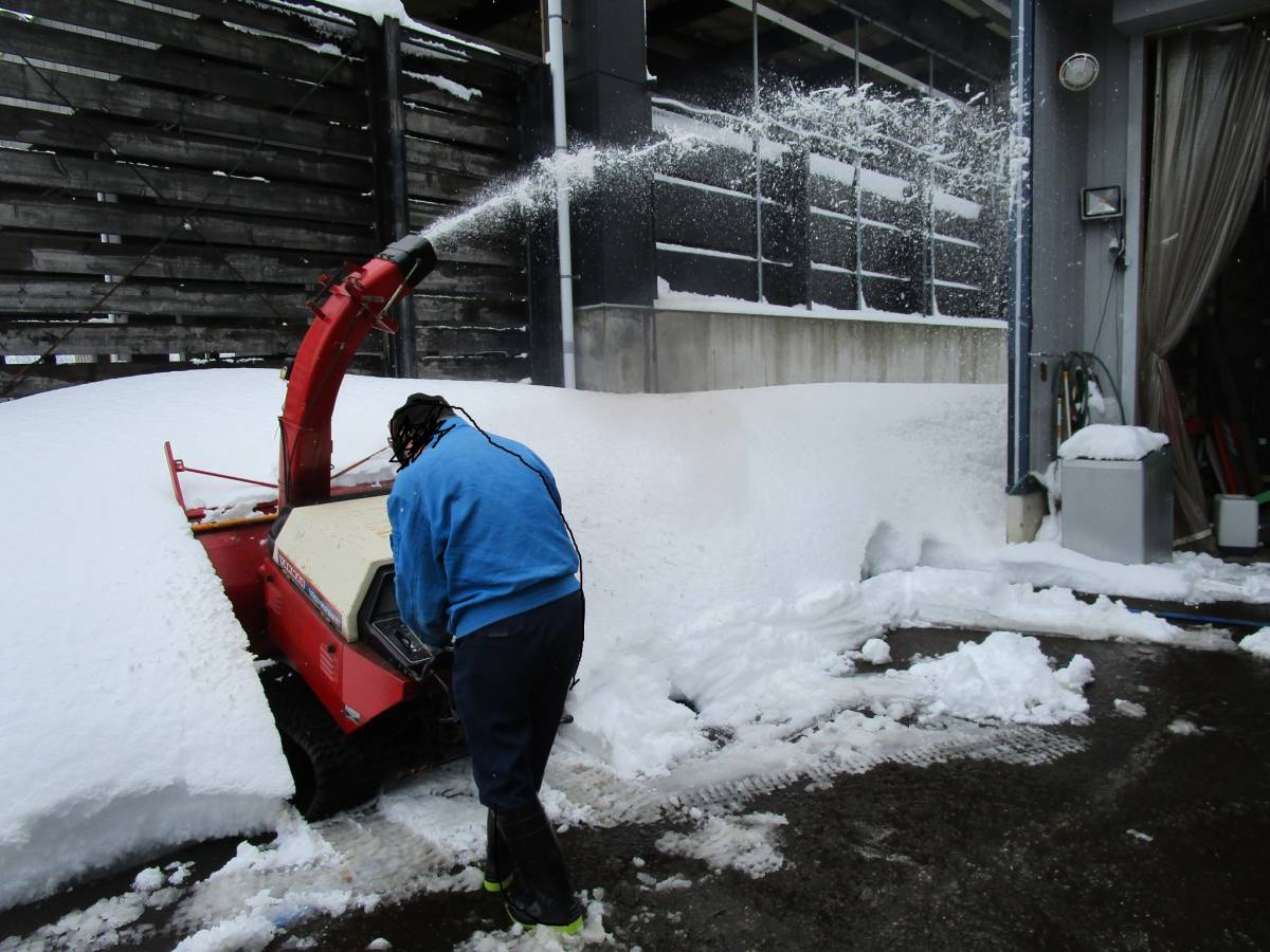 2025年最新】Yahoo!オークション -ヤンマー 除雪機 中古(除雪機 2025年最新】Yahoo!オークション -ヤンマー 除雪機 中古(除雪機