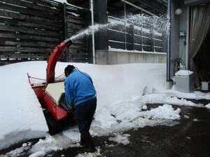 2245 除雪機 ロータリ除雪機 ヤンマー投雪機 13PS エンジンジーゼルエンジン ＨＳＴシフト 中古品です。