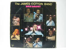【LP】 THE JAMES COTTON BAND / HIGH ENERGY US盤 ジェームス・コットン・バンド ハイ・エナジー MAT MURPHY JAMES BOOKER_画像2
