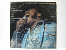 【LP】 THE JAMES COTTON BAND / HIGH ENERGY US盤 ジェームス・コットン・バンド ハイ・エナジー MAT MURPHY JAMES BOOKER_画像3