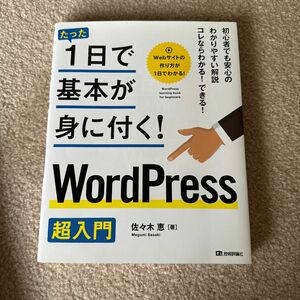 たった１日で基本が身に付く！ＷｏｒｄＰｒｅｓｓ超入門 佐々木恵／著