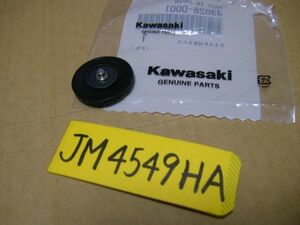 ☆KX250W９F ダイアフラム☆KAWASAKI純正部品予備品等に