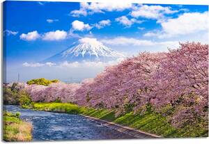 Art hand Auction 富士山 桜 木枠 壁掛け キャンバス 絵画 新品 現代アート キャンバス画 30x40cm アートパネル インテリア アートポスター 絵 開運 縁起物, 美術品, 絵画, その他