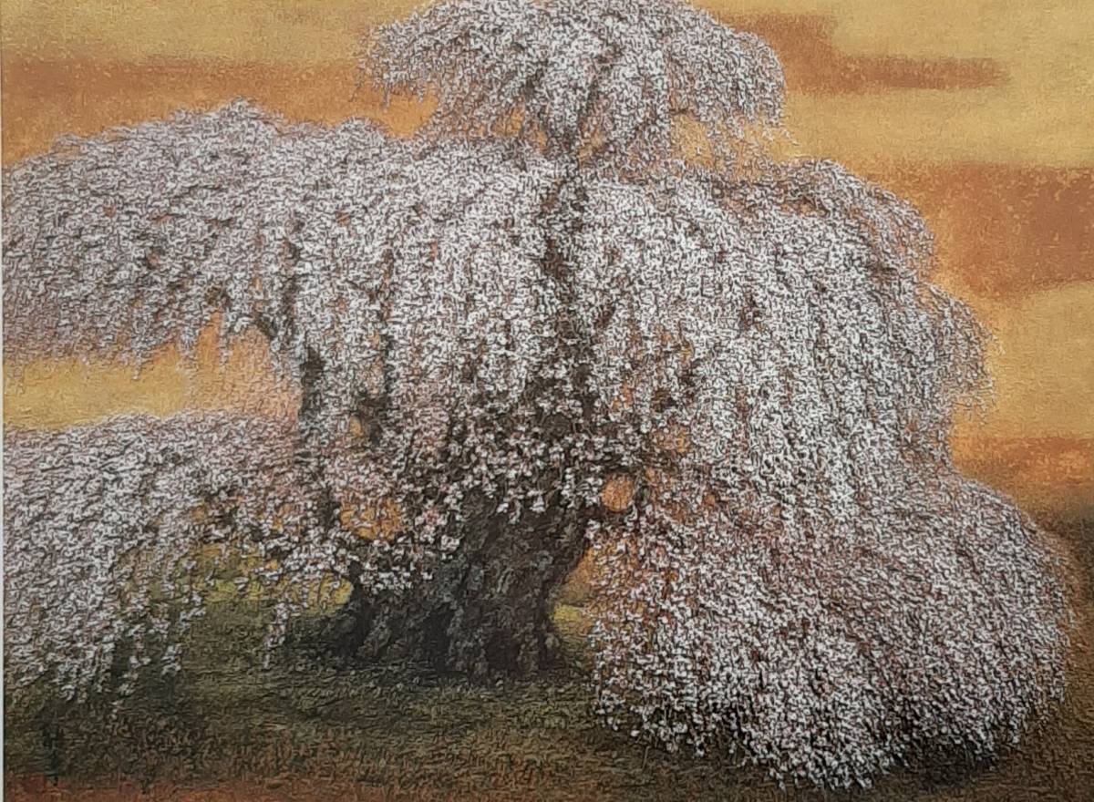 Masataka Oyabu, Mille Arbres Miharu Takizakura, Peintures encadrées tirées de livres d'art rares, quatre saisons, paysage, Œuvres populaires, Livré avec un tapis sur mesure, Fabriqué au Japon, tout neuf et encadré., livraison gratuite, peinture, peinture à l'huile, Nature, Peinture de paysage