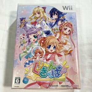 新品未開封 ★★★ Wii お掃除戦隊 くりーんきーぱー 限定版BOX ★★