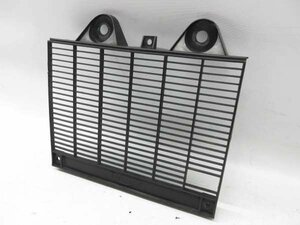  Triumph Daytona 900*SMTTC* radiator guard *01G08