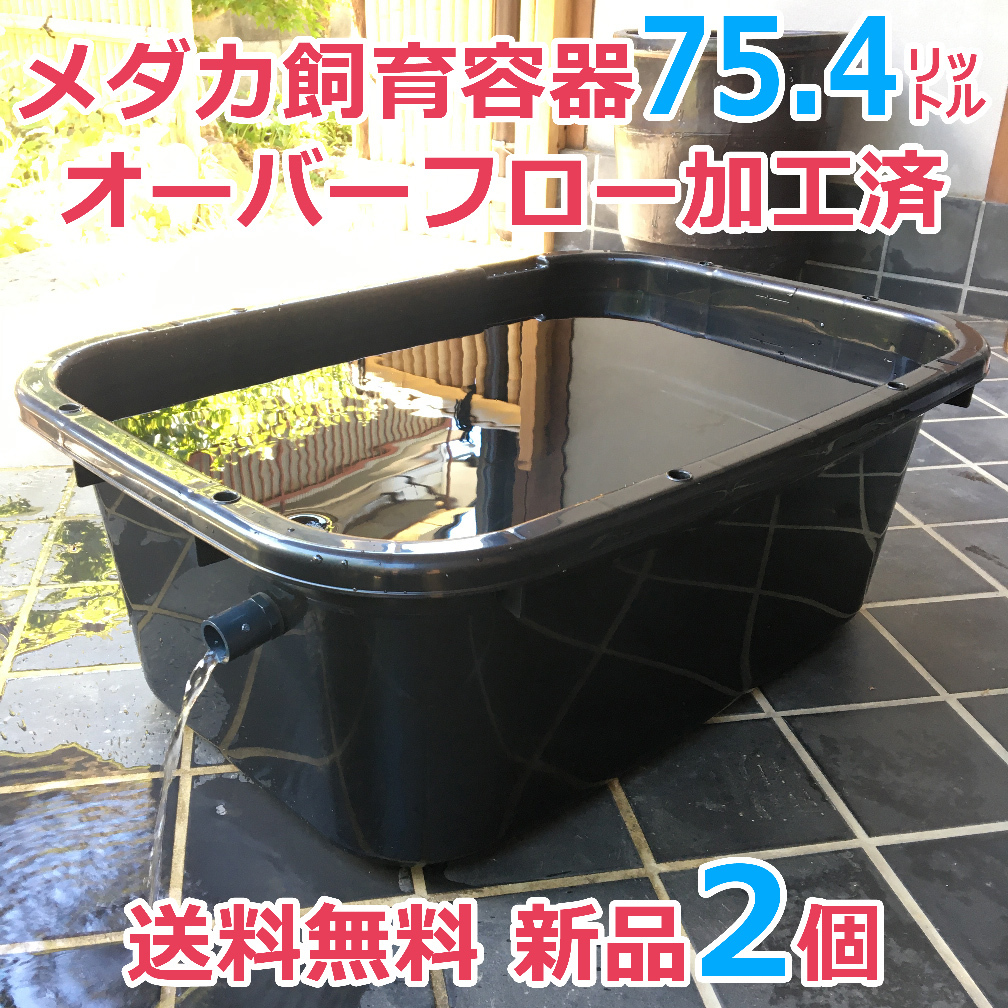 メダカ飼育ケース 56㍑ グレー 3個 オーバーフロー加工済 金魚飼育容器
