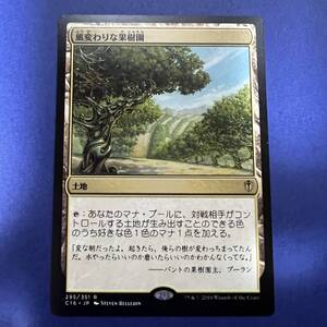 MTG/風変わりな果樹園/Exotic Orchard/日本語/1枚