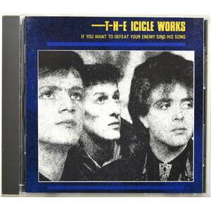 The Icicle Works / If You Want To Defeat Your Enemy Sing His Song ◇ アイシクル・ワークス ◇ イアン・マクナブ ◇