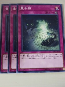 遊戯王 量子猫 三枚 数量3