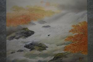 Art hand Auction [Authentique] / Furuya Ikcho / Akikei / Kingfisher / Boîte en bois de Paulownia incluse / Parchemin suspendu Hotei HE-213, Peinture, Peinture japonaise, Fleurs et oiseaux, Faune