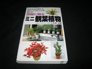  part shop . ornament . Mini decorative plant 