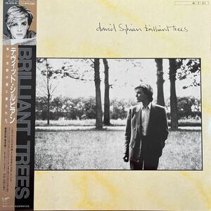 LP# ROCK/David Sylvian/Brilliant Trees/VIL 6114/ with belt Obi/ front . music / art * lock / David * sill Vian /Art ROCK