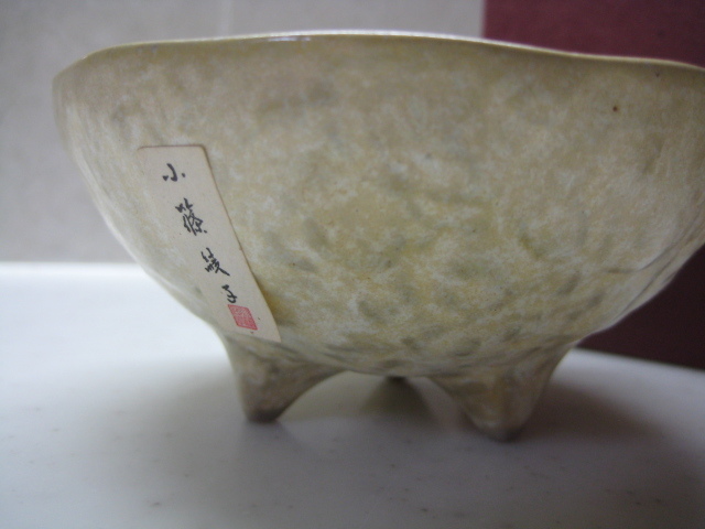 コシノアヤコ 桜柄皿2枚セット - 通販 - wood-let.com
