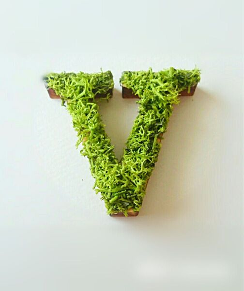 木製アルファベットオブジェ(モス)5cm『V』×1点