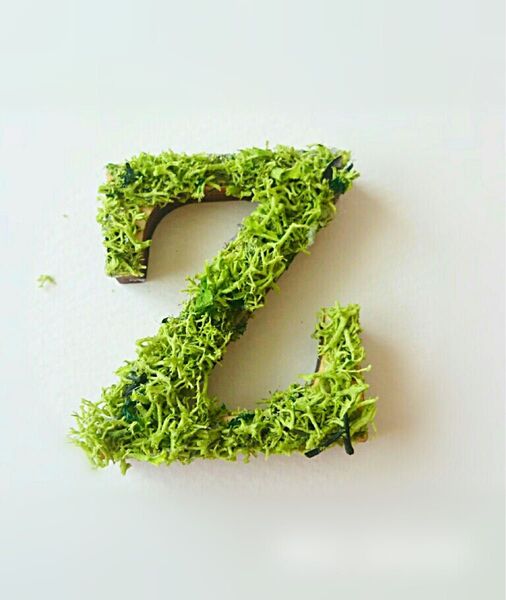 木製アルファベットオブジェ(モス)5cm『Z』×1点