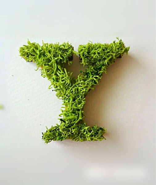 木製アルファベットオブジェ(モス)5cm『Y』×1点