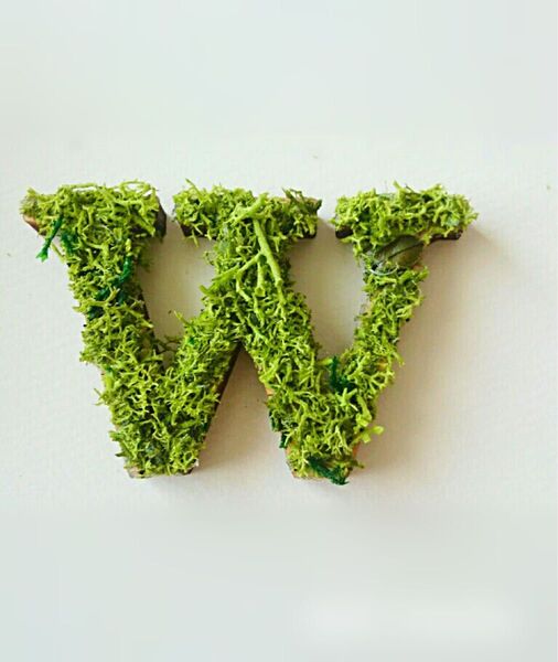 木製アルファベットオブジェ(モス)5cm『W』×1点