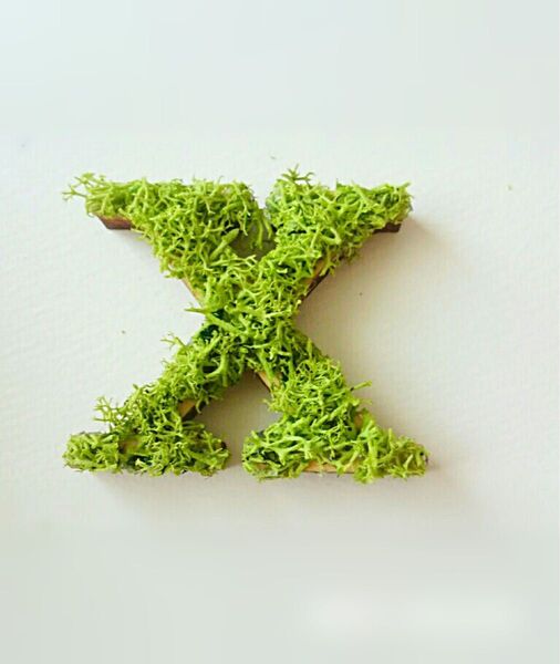 木製アルファベットオブジェ(モス)5cm『X』×1点