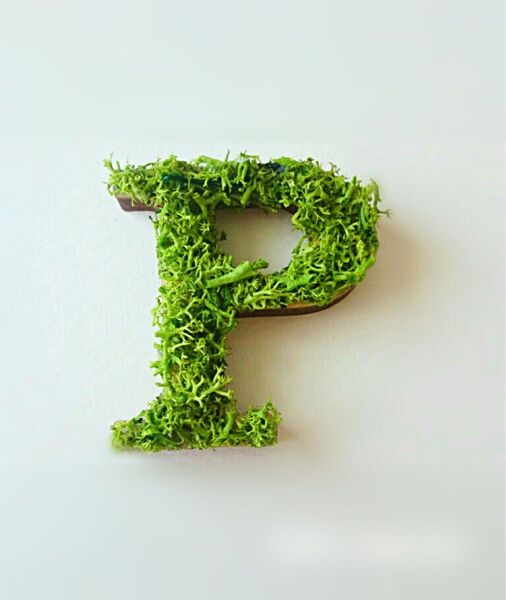木製アルファベットオブジェ(モス)5cm『P』×1点