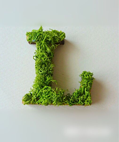 木製アルファベットオブジェ(モス)5cm『L』×1点