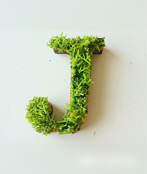 木製アルファベットオブジェ(モス)5cm『J』×1点