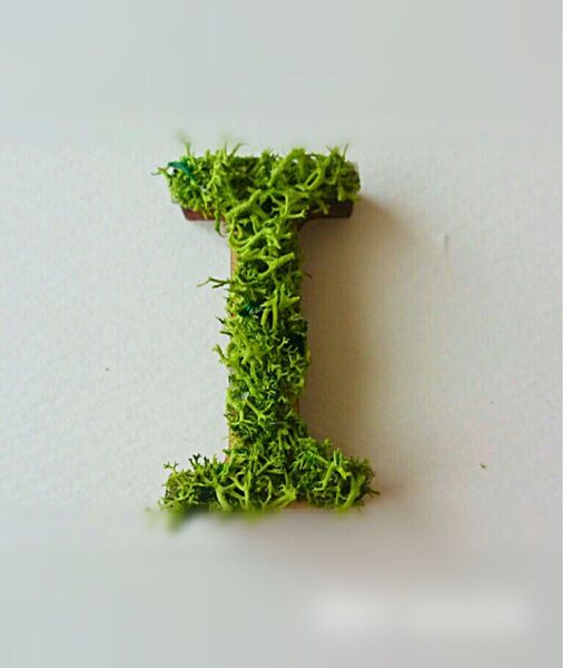 木製アルファベットオブジェ(モス)5cm『I』×1点