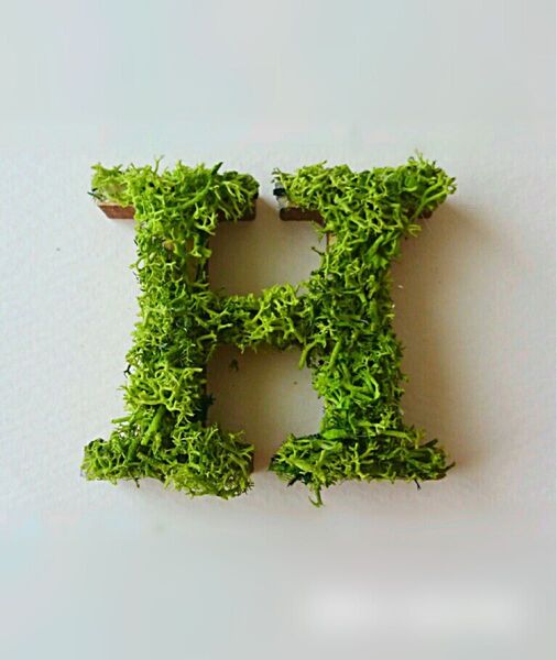 木製アルファベットオブジェ(モス)5cm『H』×1点