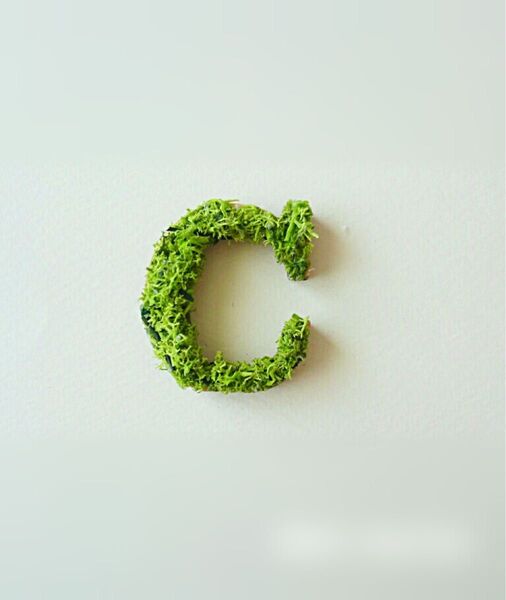 木製アルファベットオブジェ(モス)5cm『C』×1点