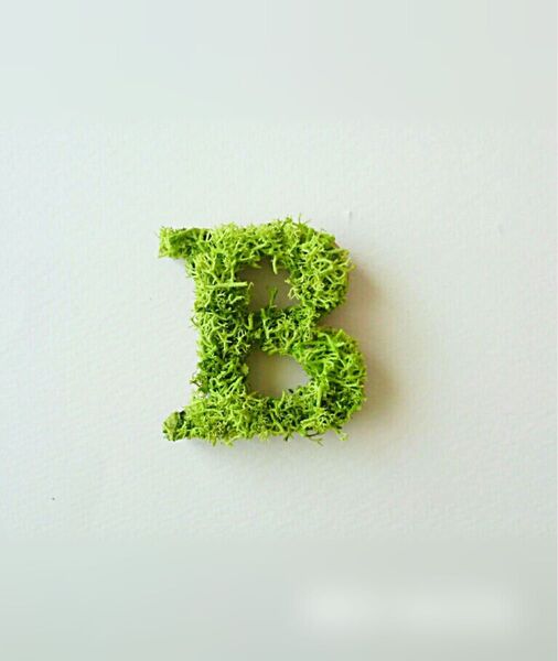 木製アルファベットオブジェ(モス)5cm『B』×1点