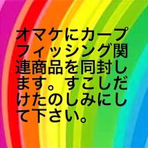 カープフィッシング　ボイリー　鯉　フィッシング　鯉釣り　Oリング　リング　釣具　新品未使用品　リグ　仕掛　ブローバック　カープ_画像8